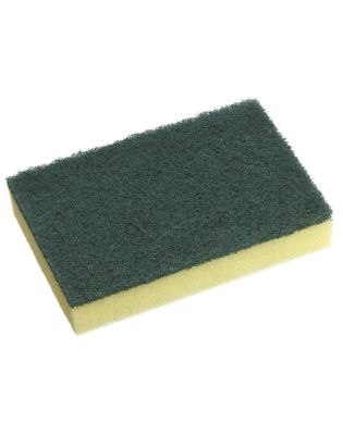 3M General Purpose Sponge Scourer RB4 (1 10 Sponges)